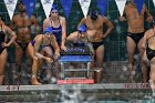 Swimming & Diving vs RWU  Swimming & Diving vs Roger Williams University. - Photo by Keith Nordstrom : Wheaton, Swimming